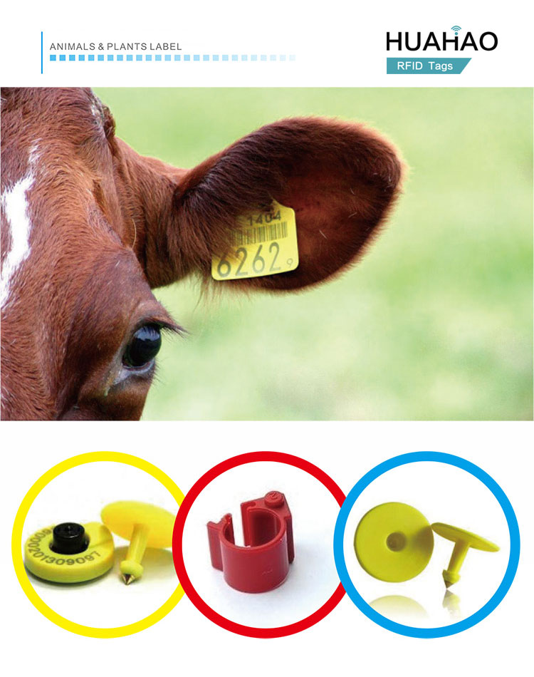 PET RFID Label