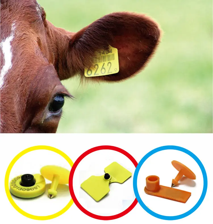 rfid animal tag